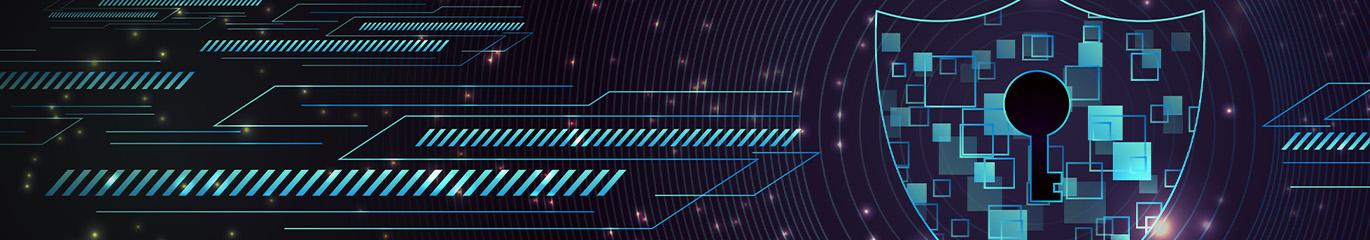 Settore Pubblica Amministrazione Locale