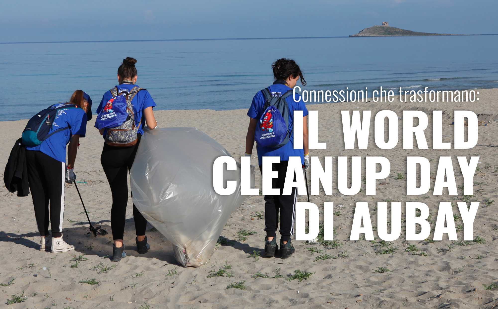 cover_cleanupday